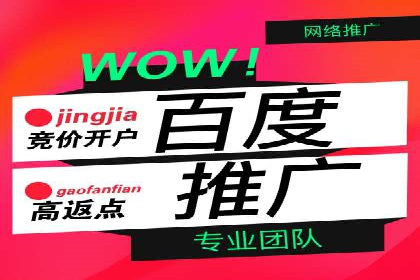 百度竞价广告的投放成本与ROI分析案例